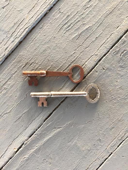 11225395_10100597147199548_2509702492395776590_n